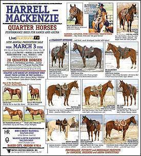 Quarter Horses Sale Flier