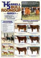 2008 Harrell Bull Round Up :: click to view as JPG image :: 300 kb.