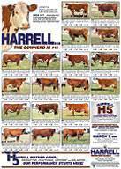 2008 Harrell Bull Round Up Reference Dams :: click to view as JPG image :: 300 kb.