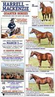 2008 Quarter Horse Flier :: click to enlarge