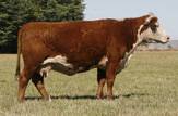 9093