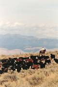 What a view : click to enlarge.