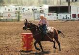 Harrell Horses