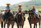 Harrell Horses