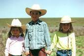 Harrell Horses