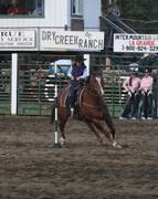 Harrell Horses