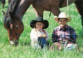 Harrell Horses