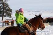Harrell Horses