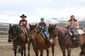 Harrell Horses