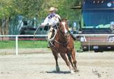 Harrell Horses