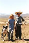 Harrell Horses