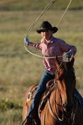 Harrell Horses