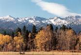 What a view : click to enlarge.