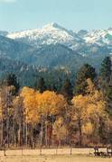 What a view : click to enlarge.