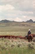 What a view : click to enlarge.