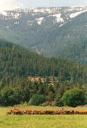 What a view : click to enlarge.