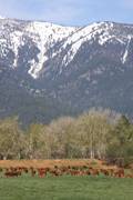 What a view : click to enlarge.