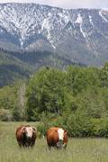 What a view : click to enlarge.