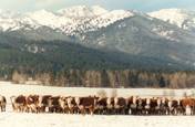 What a view : click to enlarge.
