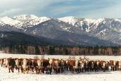 What a view : click to enlarge.