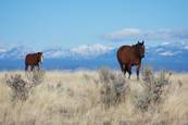 What a view : click to enlarge.