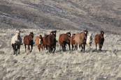 What a view : click to enlarge.