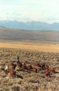 What a view : click to enlarge.