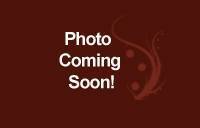 Hereford Herd Sire :: HH Advance 255M 1 ET :: click to enlarge.