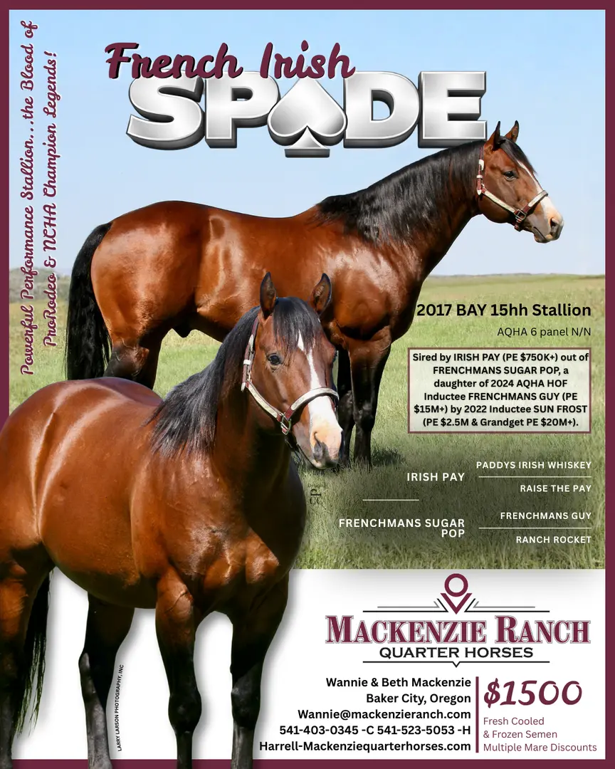 French Irish Spade Stallion Flyer French Irish Spade Stallion Flyer