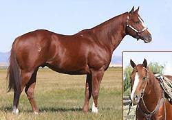 RR Frenchmans Bully