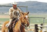 Kids & Horses : click to see full image.