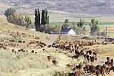 Jordan Valley - click to enlarge.